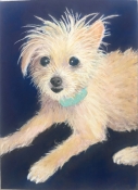 art of Jennifer Edwards
